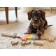 Puzzle en bois Montessori - L'Alphabet du chien